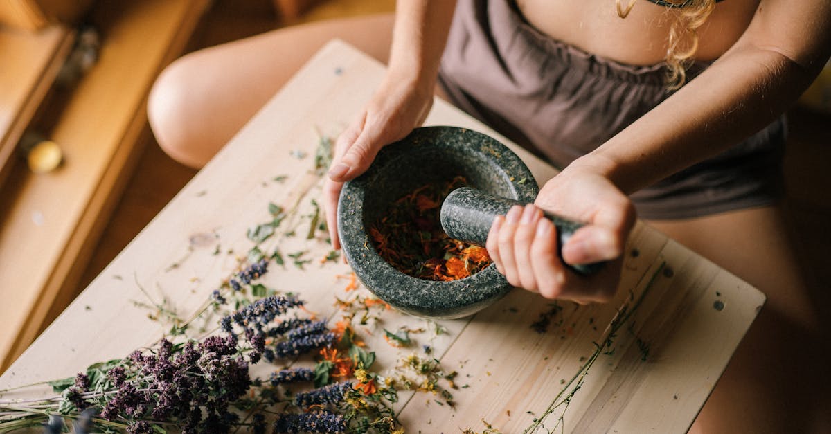 descubre los mejores remedios naturales para mejorar tu salud y bienestar. aprende a utilizar plantas, hierbas y técnicas tradicionales que han sido utilizadas durante siglos para aliviar molestias y promover el equilibrio en tu cuerpo.