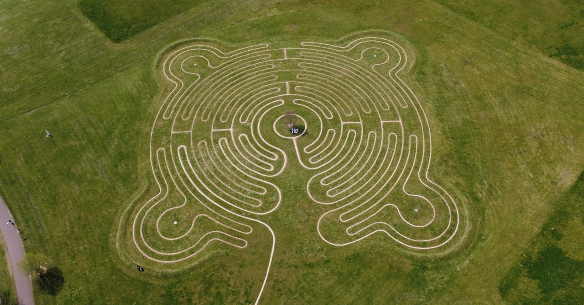 la labyrinthe est une maladie de l'oreille interne qui provoque des vertiges, des troubles de l'équilibre et des problèmes auditifs. découvrez les symptômes, les causes et les traitements disponibles pour gérer cette affection.