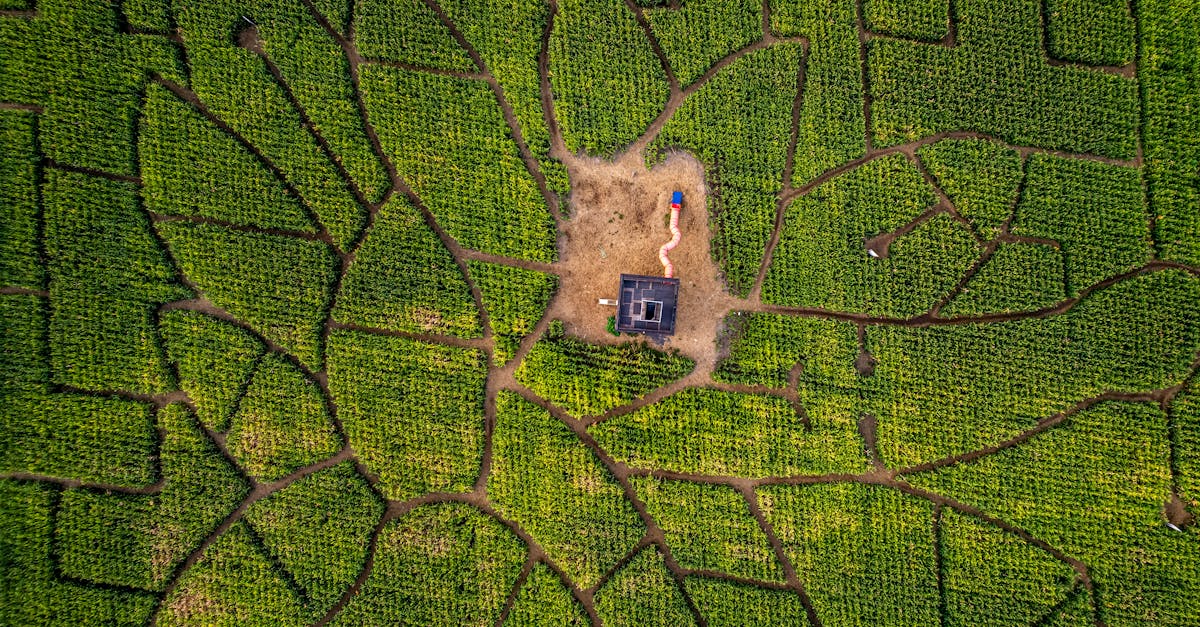 la labyrinthe est une affection de l'oreille interne qui provoque des vertiges, des troubles de l'équilibre et des douleurs. découvrez les causes, les symptômes, les traitements et les conseils pour gérer cette condition.