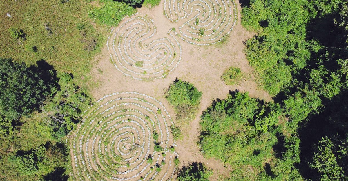 la labyrinthe est une condition médicale qui affecte l'oreille interne, provoquant des vertiges, des troubles de l'équilibre et des acouphènes. découvrez les causes, symptômes et traitements de la labyrinthite pour mieux comprendre cette maladie et trouver des solutions adaptées.