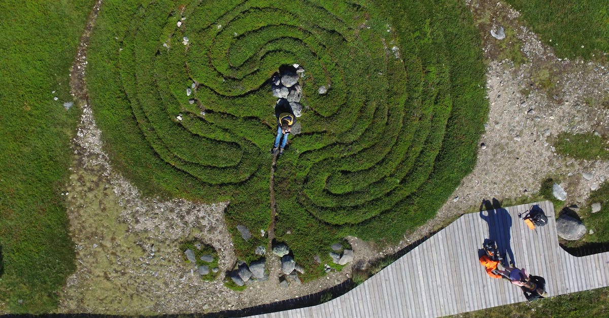 la labyrinthe est une inflammation de l'oreille interne qui peut provoquer des vertiges, des pertes d'équilibre et des troubles auditifs. découvrez les causes, symptômes et traitements de cette affection.