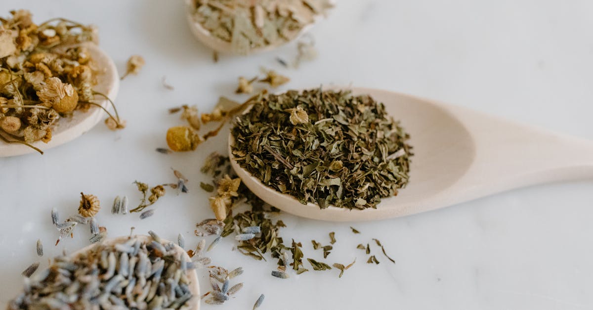 descubre los remedios naturales más efectivos para mejorar tu salud y bienestar. aprende a utilizar plantas, hierbas y técnicas tradicionales para tratar dolencias comunes de manera segura y efectiva.