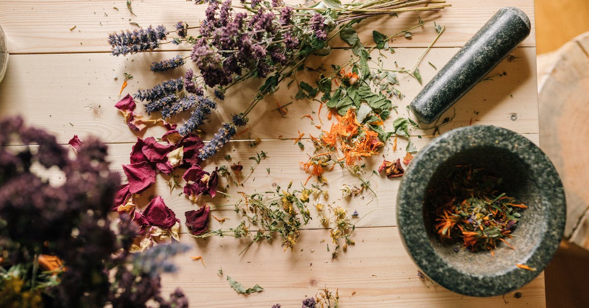 descubre remedios naturales efectivos para mejorar tu salud y bienestar. explora soluciones holísticas que utilizan hierbas, aceites esenciales y prácticas tradicionales para tratar diversas afecciones de manera suave y segura.