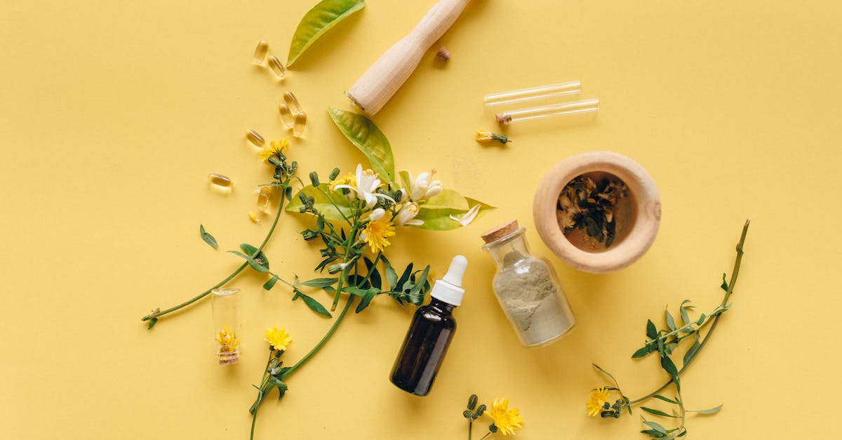 descubre los mejores remedios naturales para cuidar tu salud de manera efectiva y sin productos químicos. aprende a utilizar plantas, hierbas y técnicas ancestrales para mejorar tu bienestar y calidad de vida.