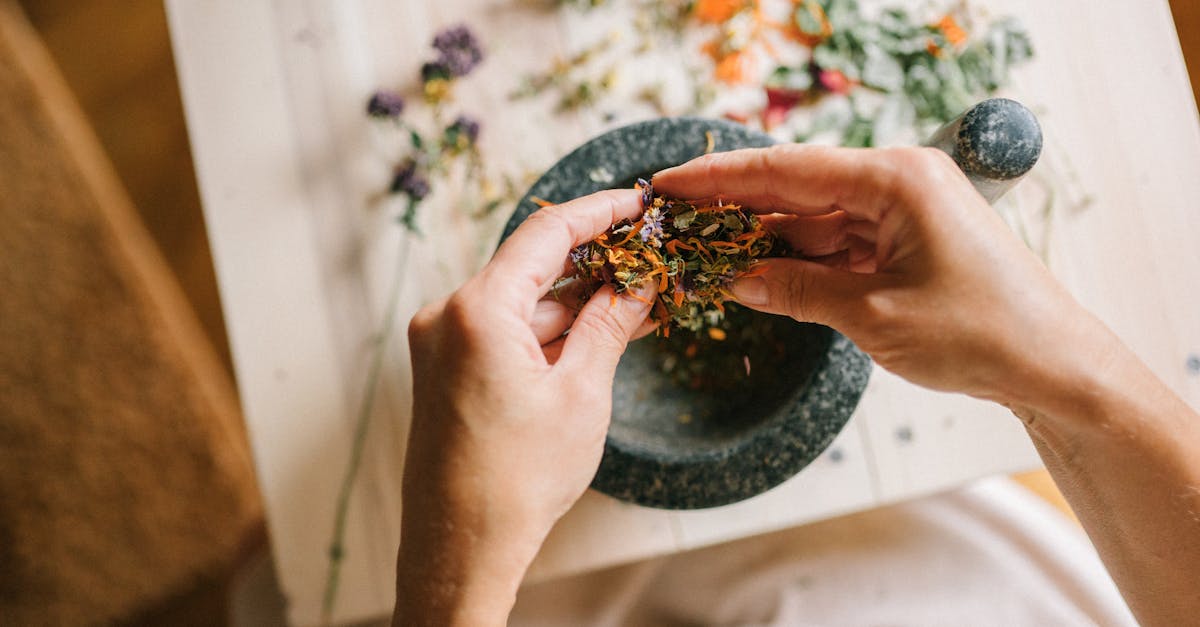 descubre remedios naturales efectivos para mejorar tu salud y bienestar. explora tratamientos a base de hierbas, aceites esenciales y prácticas ancestrales que transformaràn tu vida de forma natural.