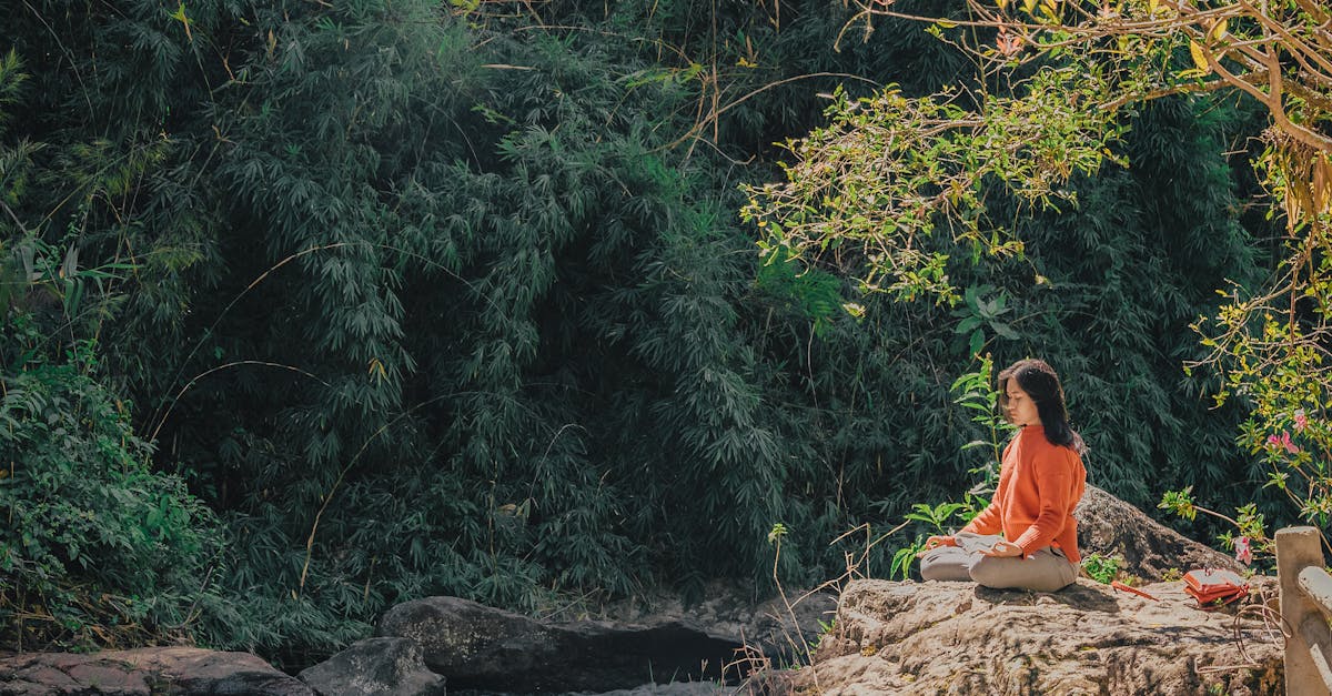 descubre la paz interior y la flexibilidad con nuestras clases de yoga. mejora tu bienestar físico y mental mientras aprendes técnicas que te ayudarán a encontrar el equilibrio en tu vida diaria.