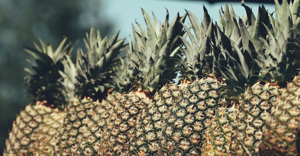 descubre cómo una dieta específica puede ayudar a aliviar los síntomas de la migraña. aprende qué alimentos incluir y cuáles evitar para mejorar tu bienestar.