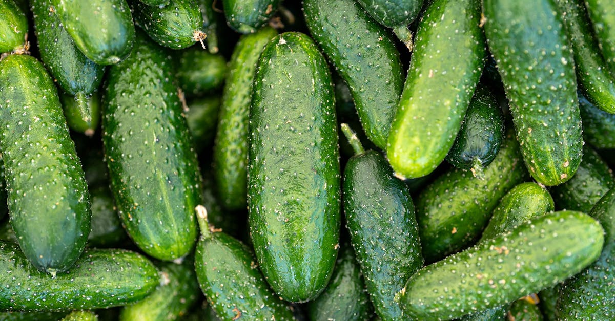 descubre la dieta ideal para aliviar las migrañas. aprende qué alimentos evitar y cuáles pueden ayudarte a reducir la frecuencia e intensidad de tus episodios de migraña, mejorando así tu calidad de vida.