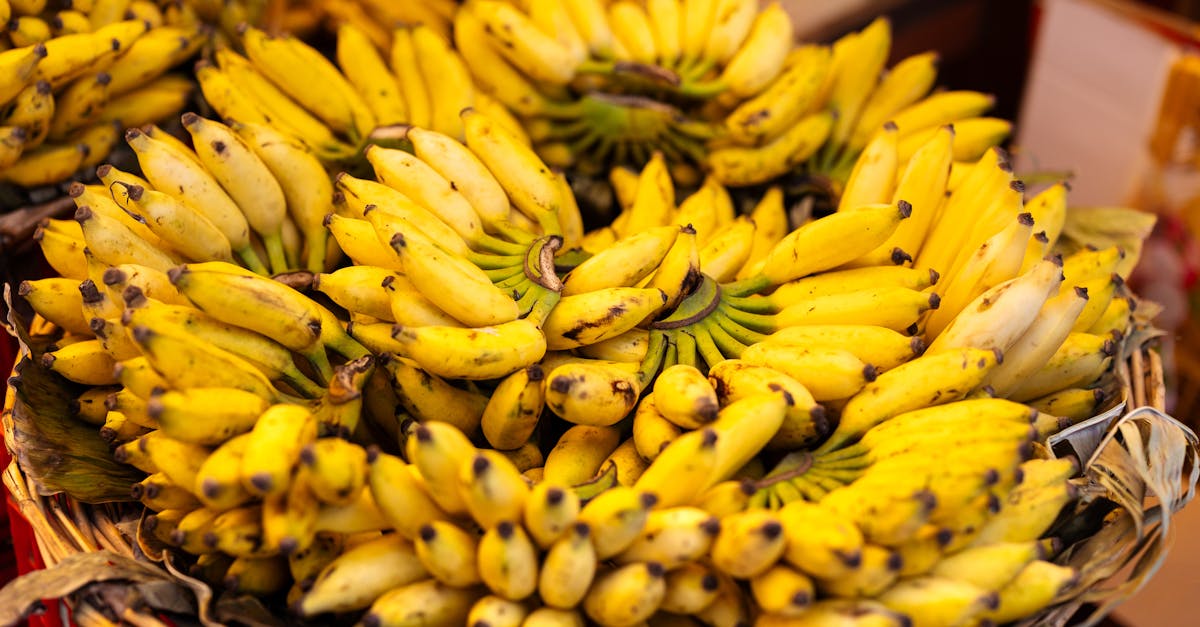 descubre cómo una dieta adecuada puede ayudarte a manejar y reducir la frecuencia de tus migrañas. aprende sobre los alimentos que favorecen tu bienestar y los que deberías evitar para mejorar tu calidad de vida.