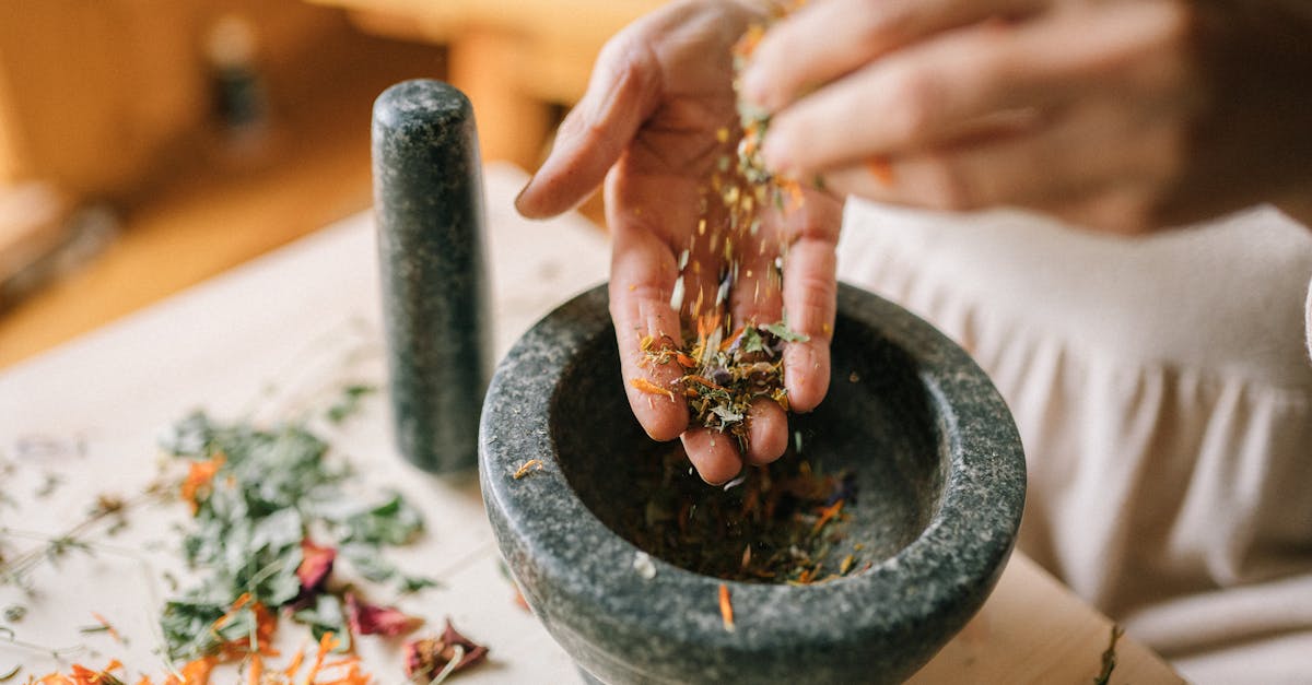 descubre los mejores remedios naturales para mejorar tu salud y bienestar. aprende a utilizar plantas, hierbas y técnicas holísticas para aliviar dolencias y revitalizar tu cuerpo de forma natural.