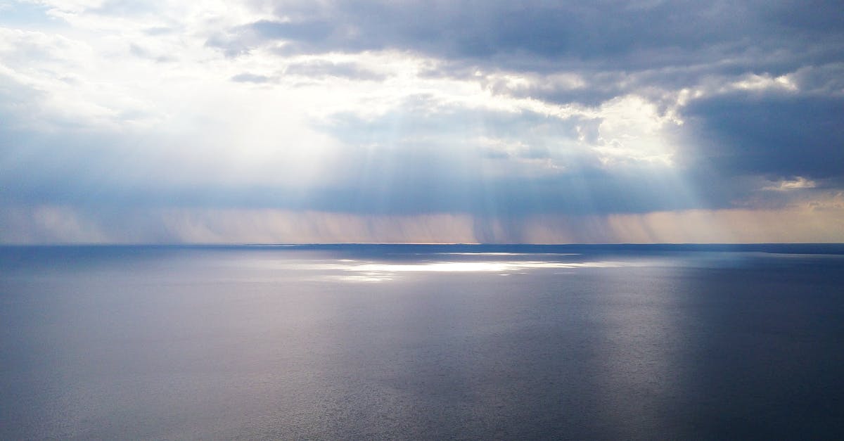 descubre la serenidad y la paz interior con 'calm'. este espacio te invita a relajarte, meditar y encontrar el equilibrio en tu vida diaria. ideal para quienes buscan un refugio mental en un mundo agitado.