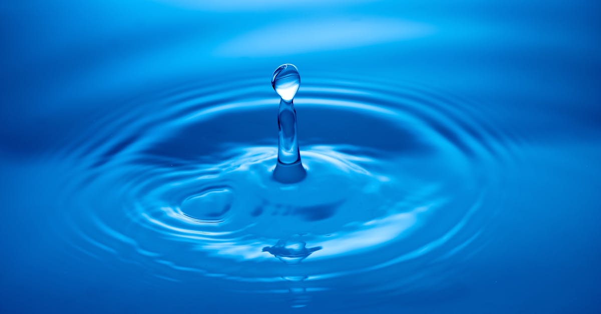 descubre la esencia de la calma. sumérgete en un espacio de serenidad y tranquilidad que te ayudará a encontrar el equilibrio en tu vida diaria. perfecto para quienes buscan relajarse y desconectar del estrés.