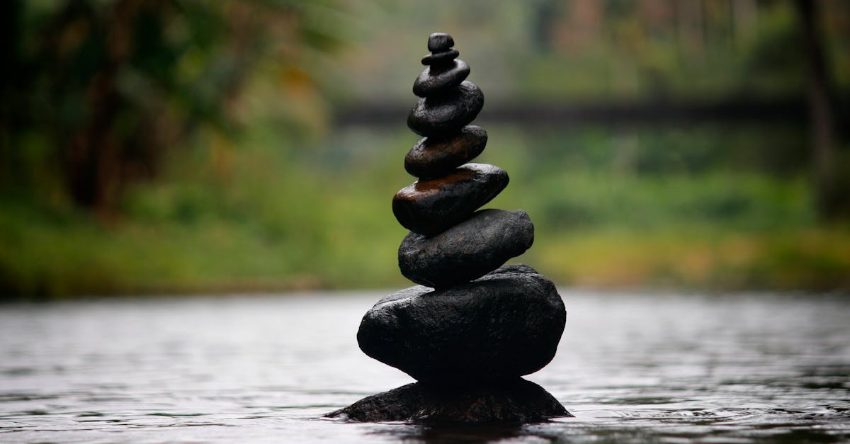 descubre la serenidad y la paz interior con 'calm', una guía para alcanzar el equilibrio emocional y mejorar tu bienestar. explora técnicas de meditación, mindfulness y relajación para transformar tu vida.