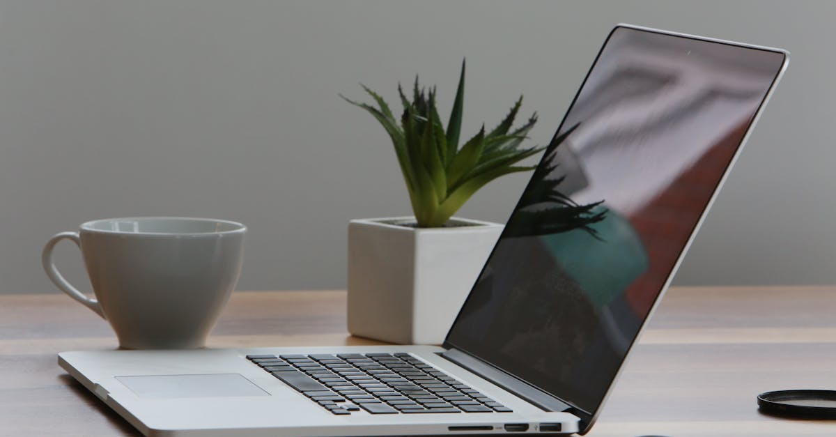 descubre nuestras mochilas ergonómicas diseñadas para ofrecerte comodidad y soporte durante todo el día. ideales para el trabajo, la escuela y tus aventuras al aire libre. ¡explora la fusión perfecta de estilo y funcionalidad!