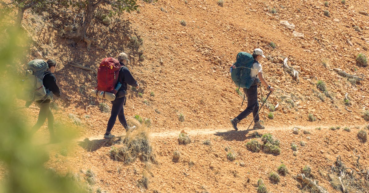 descubre nuestras mochilas ergonómicas, diseñadas para ofrecer máxima comodidad y soporte durante tus actividades diarias. ideales para estudiantes, viajeros y profesionales que buscan un estilo moderno sin sacrificar la salud de su espalda.