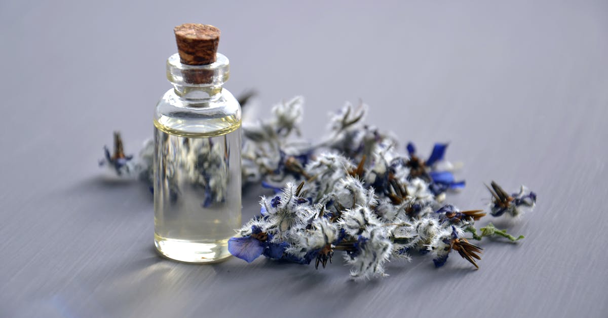 descubre un enfoque integral para el bienestar con la práctica holística. aprende a conectar mente, cuerpo y espíritu para mejorar tu calidad de vida.