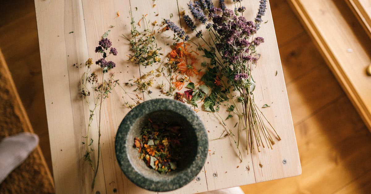 descubre los mejores remedios caseros para aliviar diversas afecciones de manera natural. aprende a utilizar ingredientes simples y accesibles para cuidar tu salud y bienestar en casa.