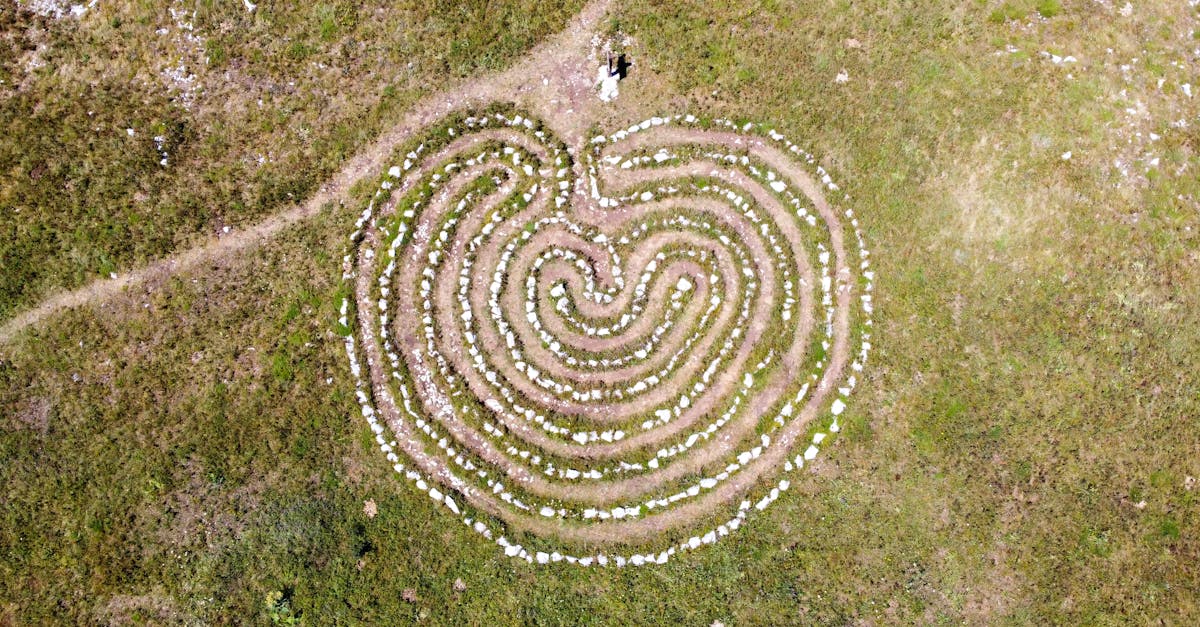 la labyrinthe est une condition médicale qui affecte l'oreille interne, provoquant des symptômes tels que des vertiges, des troubles de l'équilibre et des acouphènes. découvrez les causes, les traitements et les conseils pour gérer cette maladie dans notre guide complet sur la labyrinthite.