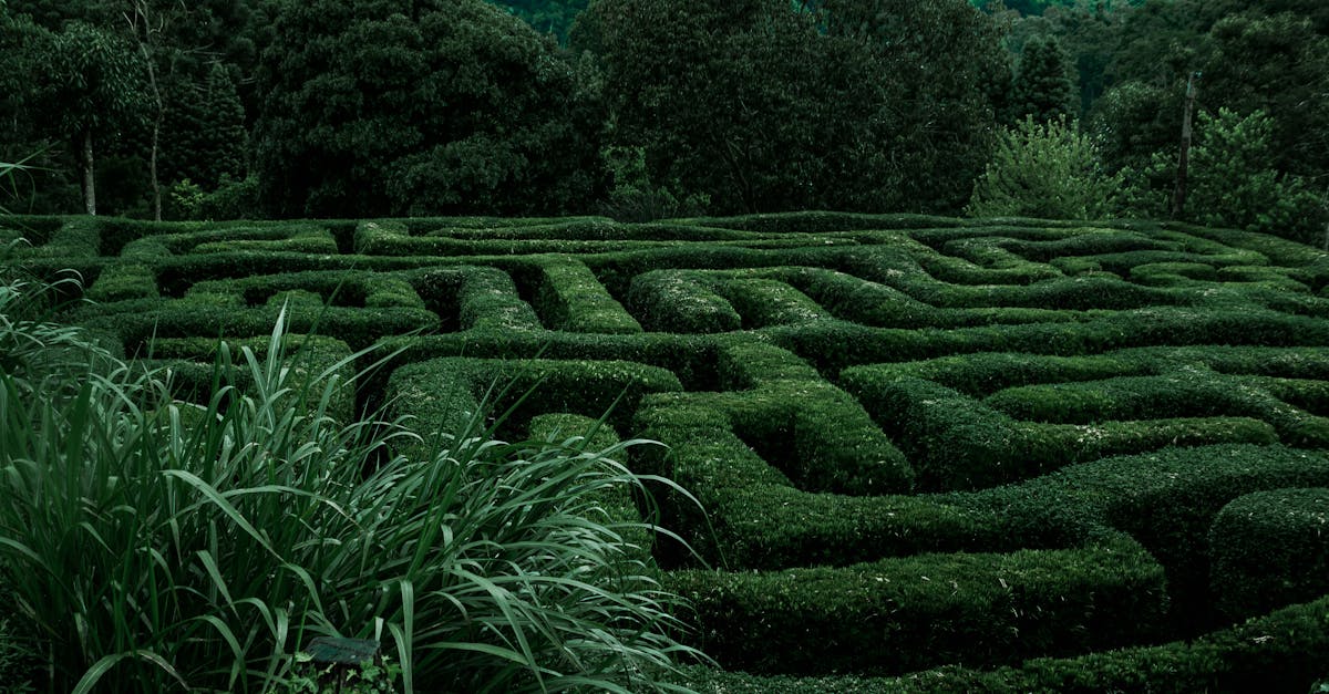 la labyrinthe est une condition qui affecte l'oreille interne, causant des vertiges, des pertes d'équilibre et des symptômes auditifs. découvrez les causes, les symptômes et les options de traitement pour cette affection désorientante.