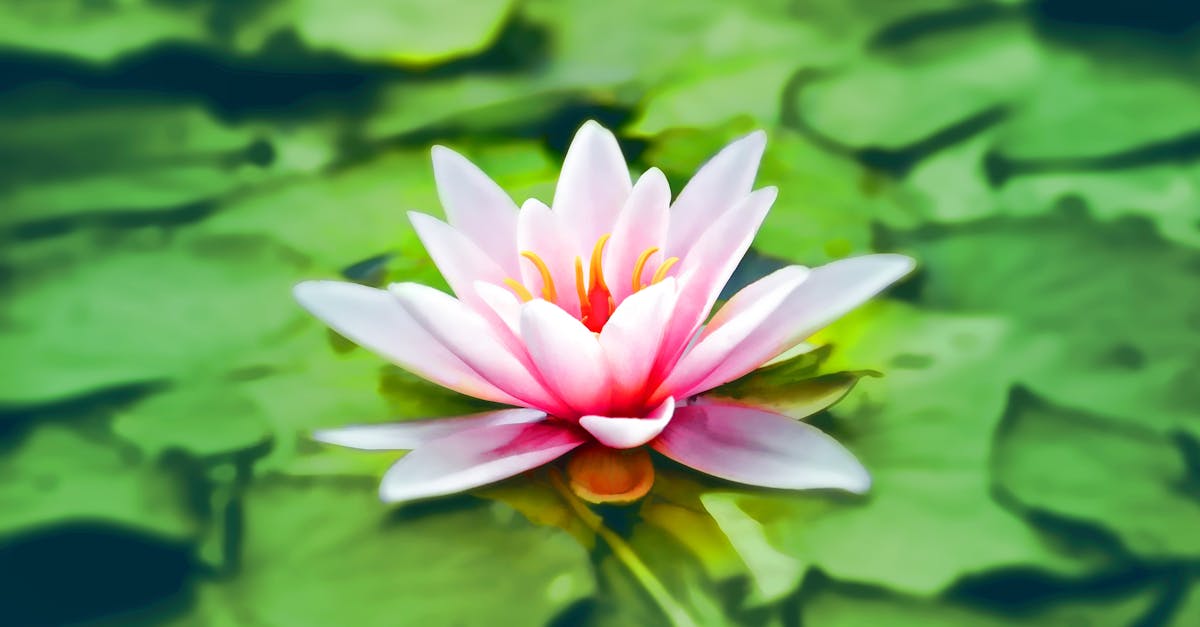 descubre el poder de la meditación para transformar tu mente y cuerpo. aprenderás técnicas efectivas para encontrar la paz interior, reducir el estrés y mejorar tu bienestar general. ¡empieza tu viaje hacia la calma hoy!