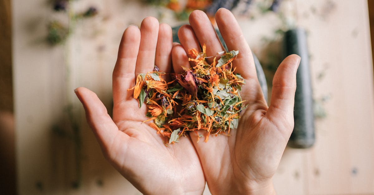 descubre los mejores remedios naturales para mejorar tu salud y bienestar. aprende sobre hierbas, soluciones caseras y prácticas ancestrales que pueden ayudarte a sanar de manera natural.