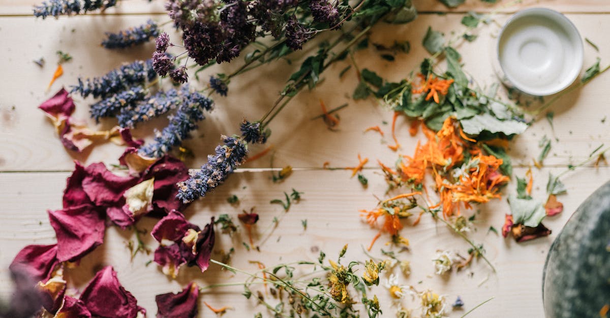 descubre los remedios naturales más efectivos para mejorar tu salud y bienestar. aprende a utilizar hierbas, aceites esenciales y técnicas ancestrales para sanar de manera natural y holística.