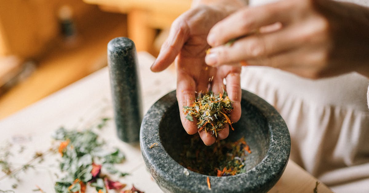 descubre los mejores remedios naturales para mejorar tu salud y bienestar. aprende a utilizar plantas, hierbas y soluciones caseras que pueden ayudarte a aliviar dolencias y mantener un estilo de vida saludable.