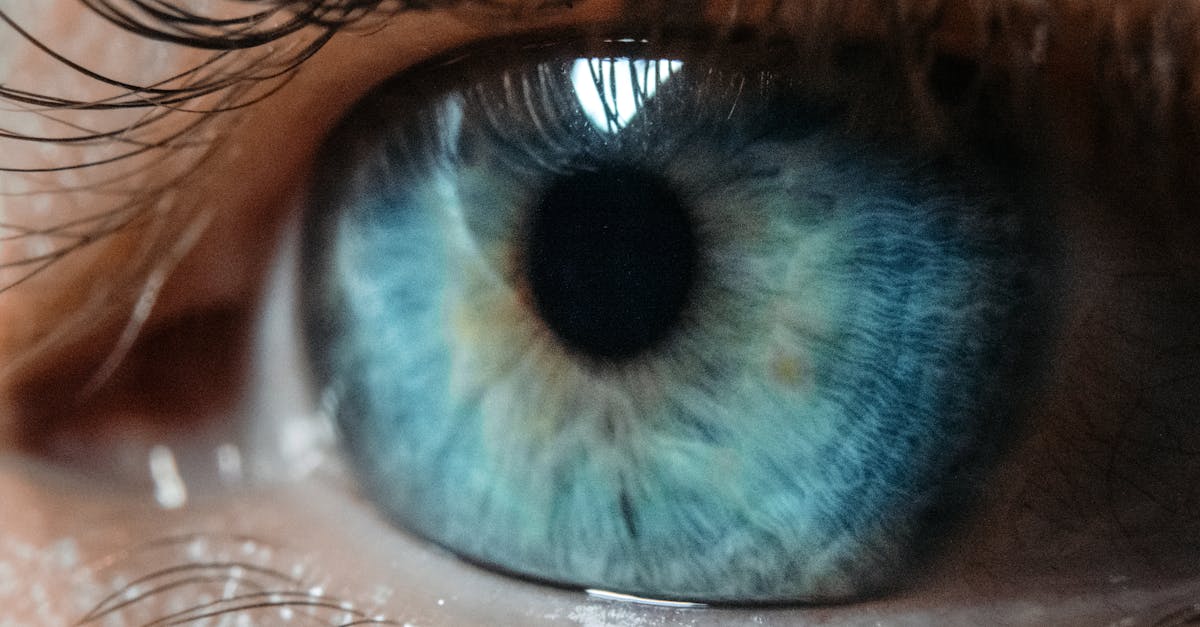descubre el poder y la importancia de los nervios en el sistema nervioso, su función en la comunicación del cuerpo y cómo afectan nuestras emociones y movimientos. explora el fascinante mundo de la neurociencia y su impacto en nuestra vida diaria.