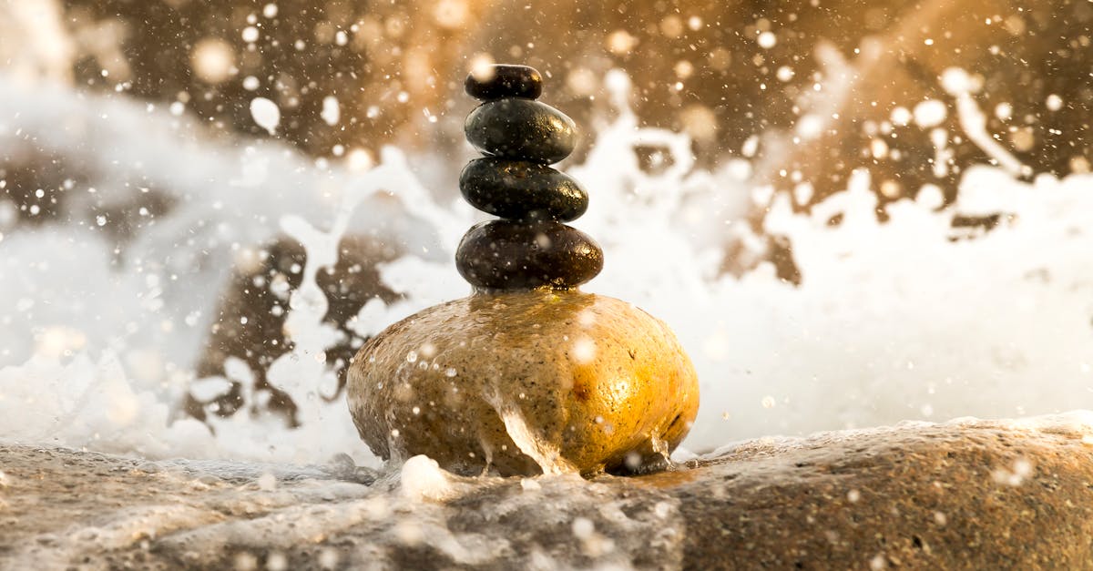 descubre el equilibrio perfecto entre mente y cuerpo. aprende a encontrar armonía en tu vida diaria con técnicas de meditación, ejercicio y bienestar emocional.