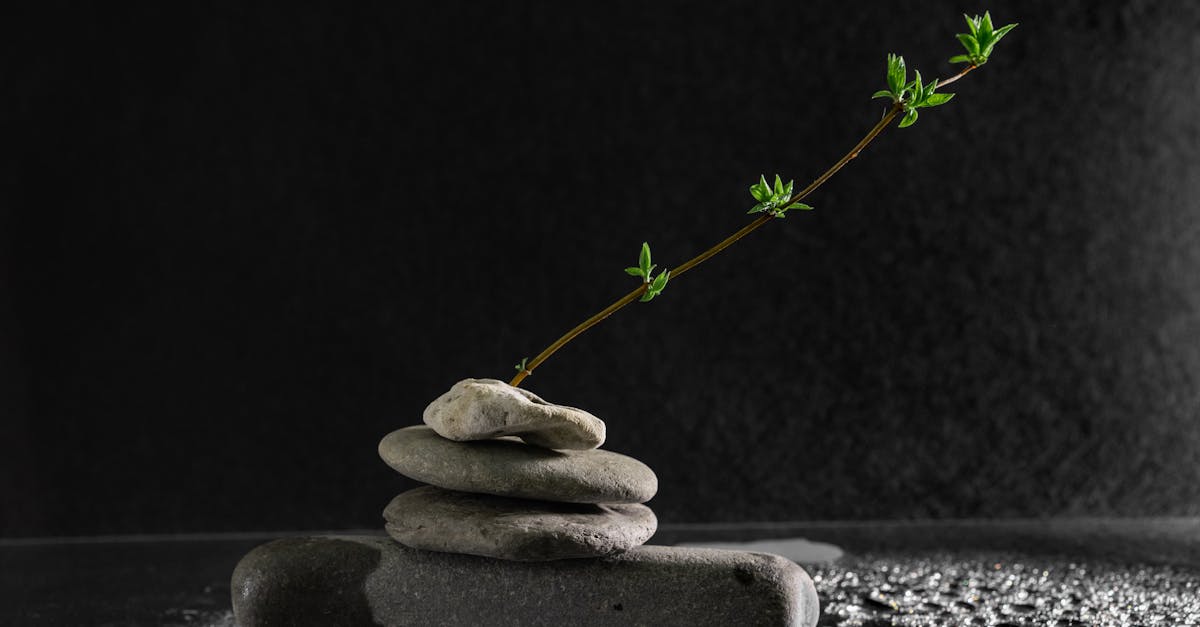 descubre el equilibrio perfecto en tu vida. encuentra armonía entre cuerpo y mente, y aprende a manejar el estrés del día a día para alcanzar tu bienestar total.