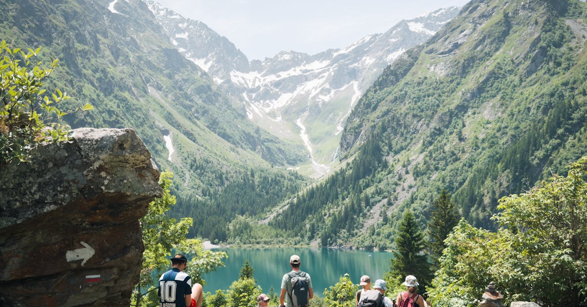 descubre nuestras mochilas ergonómicas, diseñadas para ofrecerte comodidad y soporte en tus actividades diarias. ideales para estudiantes, profesionales y viajeros, estas mochilas combinan estilo y funcionalidad para adaptarse a tu ritmo de vida.