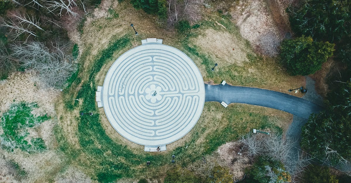 la labyrinthiste es una inflamación del laberinto, una parte del oído interno que afecta el equilibrio y la audición. conoce sus causas, síntomas y tratamientos para aliviar este trastorno.
