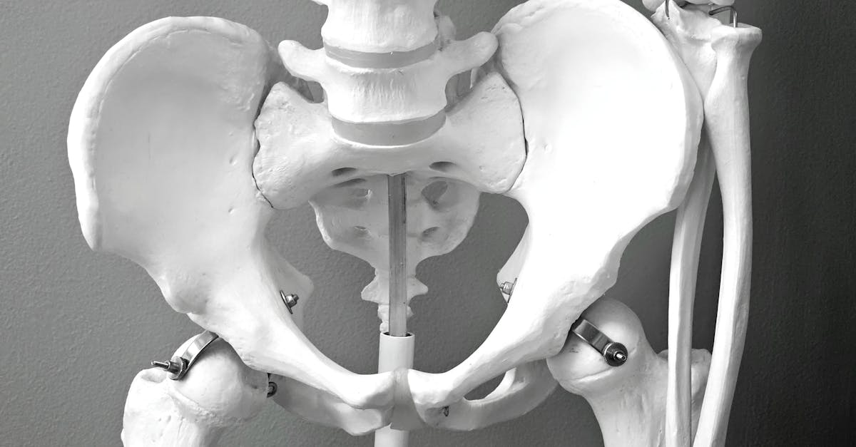 descubre la importancia del pelvis en la anatomía humana. aprende sobre sus funciones, su impacto en la salud y su papel en el sistema locomotor. información clave sobre el cuidado y la anatomía del pelvis.