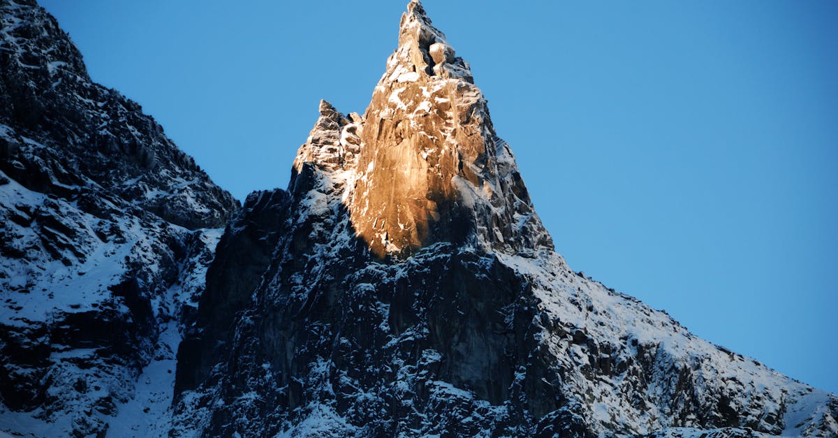 descubre el emocionante mundo del vértigo, donde la sensación de altura y la adrenalina se combinan para ofrecerte experiencias inolvidables. ya sea en altitudes impresionantes o en atracciones vertiginosas, sumérgete en la aventura y atrévete a desafiar tus miedos.