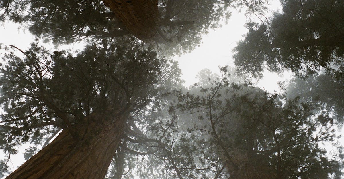descubre la fascinante experiencia de 'vértigo', una obra que te envuelve en un mundo de emociones intensas y giros inesperados. un viaje mental que desafía tus percepciones y te lleva al límite. no te pierdas esta oportunidad de vivir una aventura única.