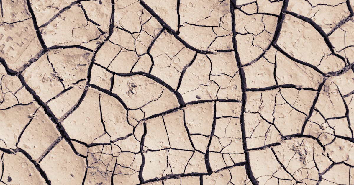 la deshidratación es una condición que ocurre cuando el cuerpo pierde más líquidos de los que ingiere. es fundamental reconocer sus síntomas, como la sed intensa, la sequedad de la piel y la fatiga, para prevenir complicaciones graves. descubre cómo identificar, tratar y prevenir la deshidratación para mantener tu salud en óptimas condiciones.