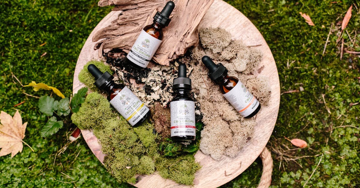 descubre los aceites esenciales: sus beneficios, usos y cómo incorporarlos en tu vida diaria para mejorar tu bienestar y bienestar emocional.