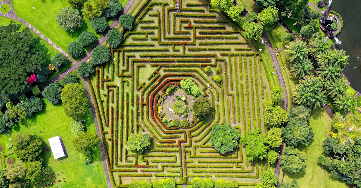 la labyrinthe est une inflammation de l'organe de l'équilibre dans l'oreille interne, entraînant des vertiges, des troubles de l'équilibre et des problèmes d'audition. découvrez les causes, les symptômes et les traitements de cette condition complexe pour mieux comprendre son impact sur votre santé.