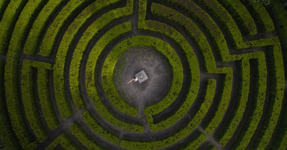 la labyrinthe est une inflammation de l'oreille interne qui peut entraîner des vertiges, des troubles de l'équilibre et des problèmes d'audition. découvrez les causes, les symptômes et les traitements disponibles pour cette condition.
