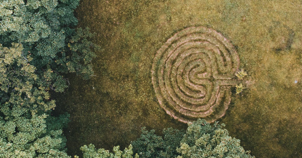 la labyrinthe est une inflammation de l'oreille interne qui peut provoquer des vertiges, des troubles de l'équilibre et des problèmes d'audition. découvrez les symptômes, les causes et les options de traitement pour cette condition. informez-vous sur la labyrinthe et prenez soin de votre santé auditive.