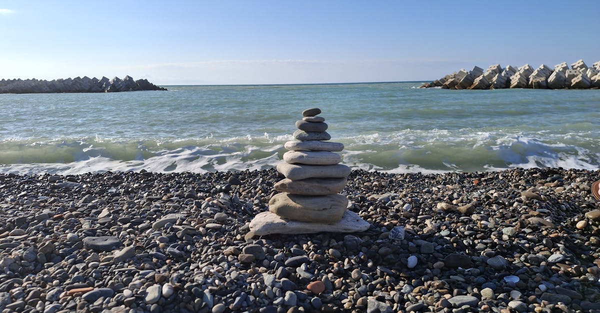 descubre el equilibrio natural en tu vida con nuestros productos que promueven un estilo de vida saludable y sostenible. encuentra la armonía entre cuerpo y mente y mejora tu bienestar diario.