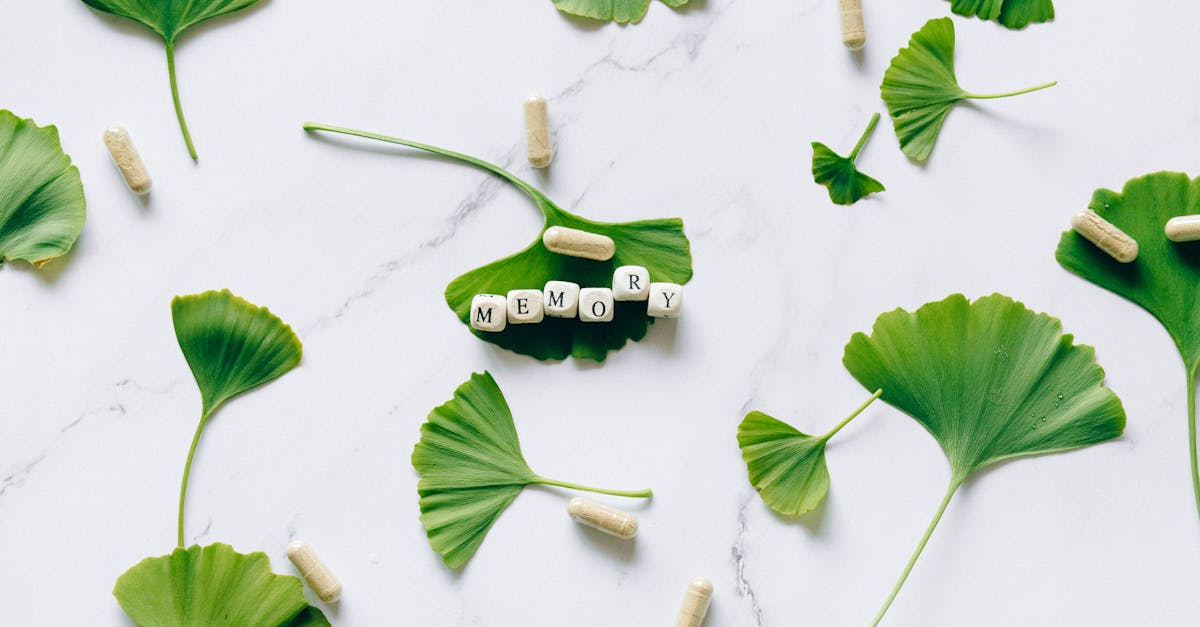 descubre remedios naturales eficaces para mejorar tu salud y bienestar. aprende sobre plantas, hierbas y tratamientos alternativos que pueden ayudarte a aliviar diversos malestares de forma segura y natural.