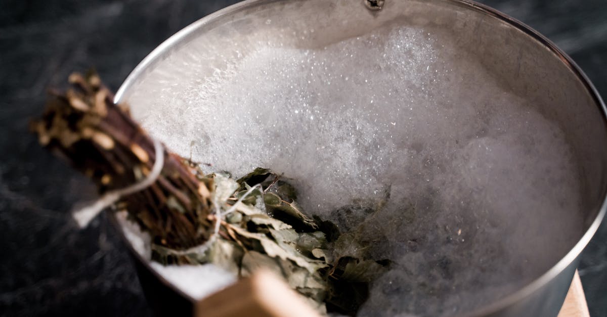 descubre los mejores remedios naturales para mejorar tu bienestar y sanar de manera holística. aprende a utilizar hierbas, aceites esenciales y otros tratamientos naturales para cuidar de tu salud.
