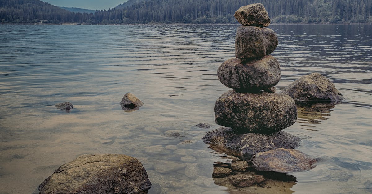 descubre el poder de la meditación para alcanzar la paz interior y mejorar tu bienestar. únete a nosotros en este viaje hacia la tranquilidad mental y la felicidad.