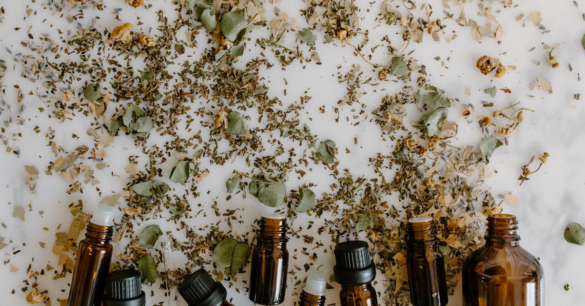 descubre los mejores remedios naturales para mejorar tu salud y bienestar. explora soluciones efectivas y seguras que la naturaleza nos ofrece para aliviar malestares comunes y promover un estilo de vida saludable.