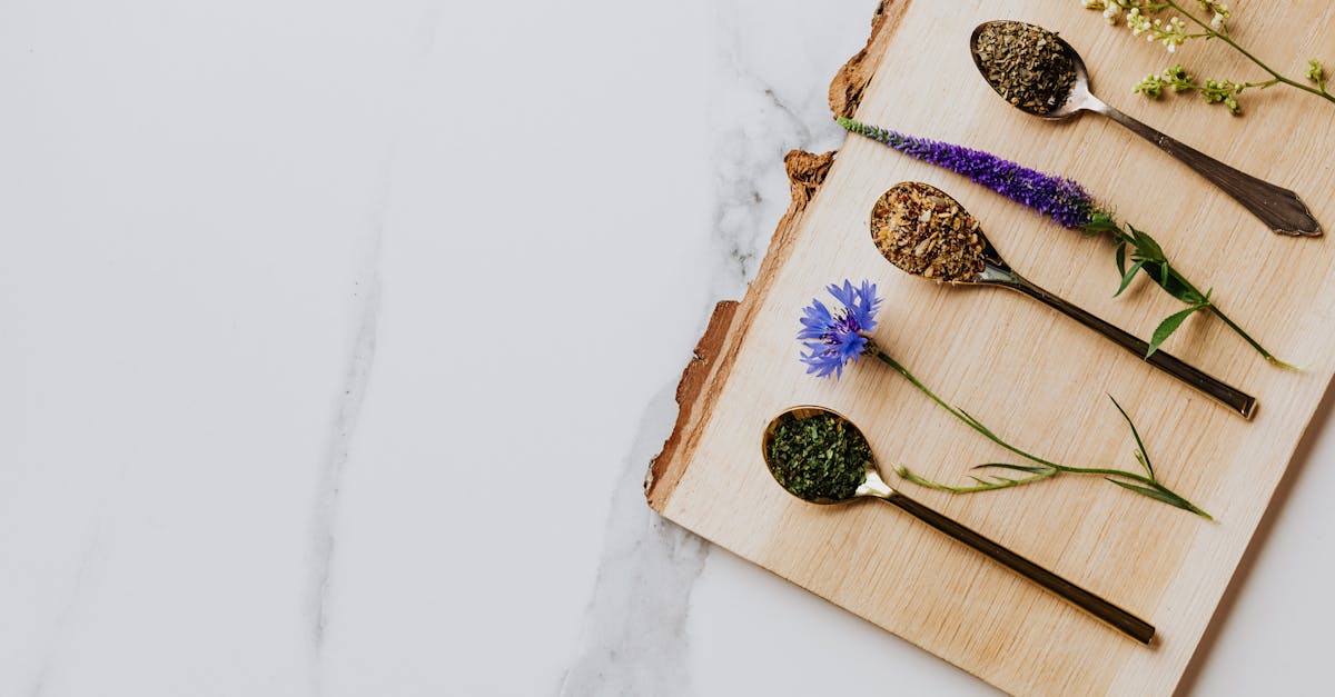 descubre remedios naturales eficaces para mejorar tu salud y bienestar. aprende sobre hierbas, aceites esenciales y tratamientos tradicionales que favorecerán tu bienestar de manera natural.